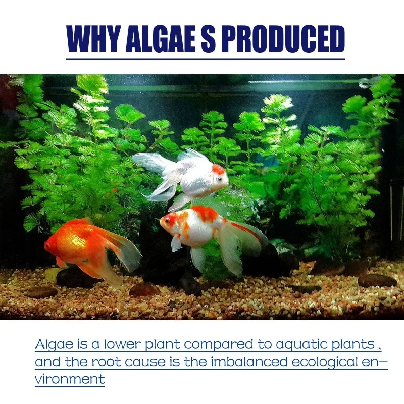 50g Hoogwaardig algemiddel teg - Aquarium Marine Plants recensie en prijs