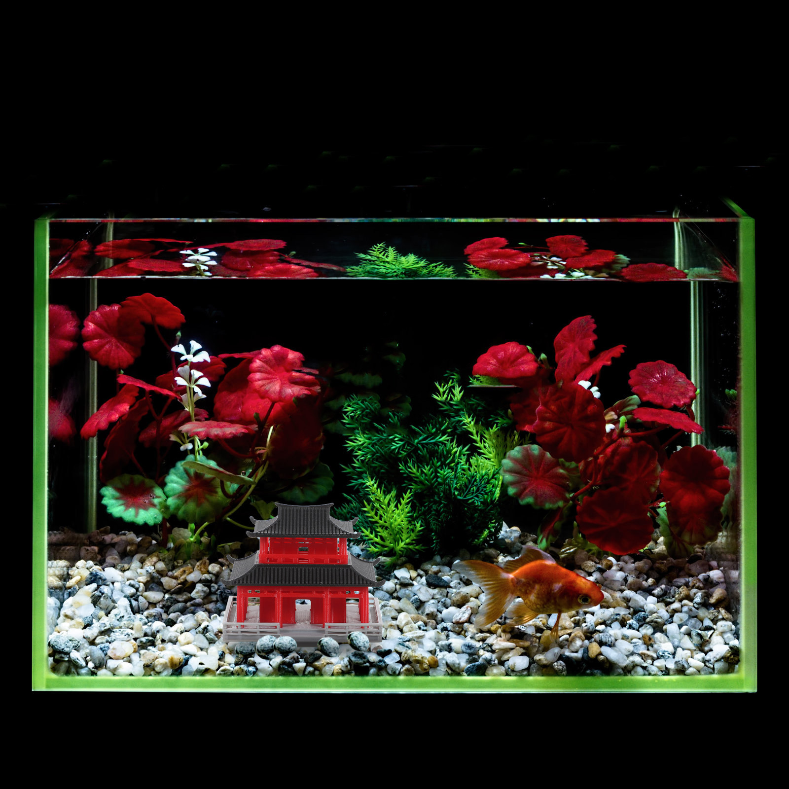 Chinees antiek paviljoen, zwar - Aquarium & Marine Science Center recensie en prijs