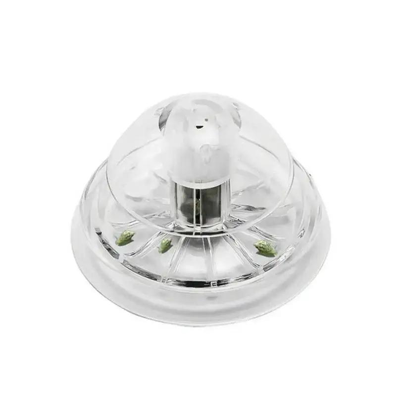 2026 Nieuwe 6/8CM Transparante - Aquarium Marine Plants recensie en prijs