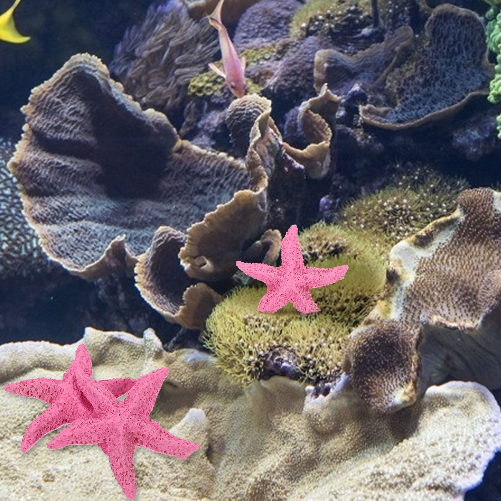 2 stuks kunstmatige zeedieren, - Marine Aquarium Home recensie en prijs