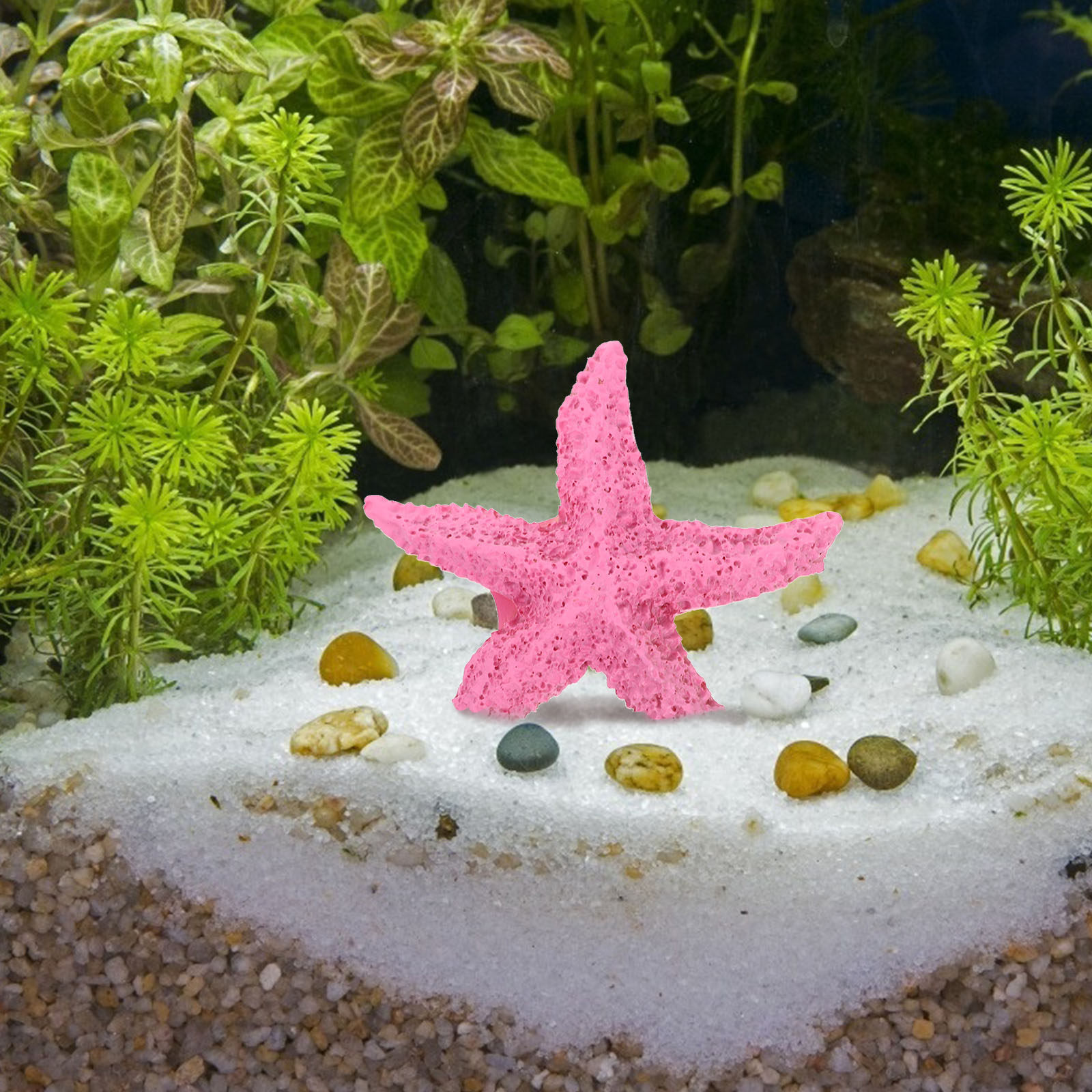 2 stuks kunstmatige zeedieren, - Marine Aquarium Home recensie en prijs