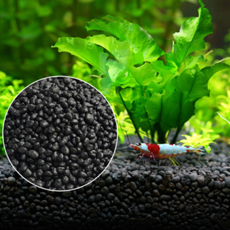 Aquarium Plant Zaden Bodem Fis - Aquarium Marine Plants recensie en prijs