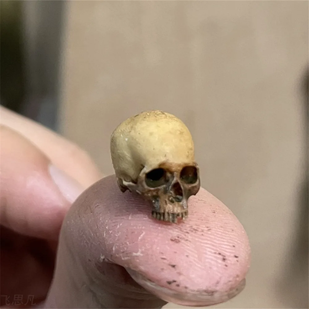 Mini Skull Hoge kwaliteit mini - Aquarium Marine Plants recensie en prijs