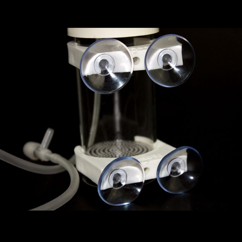 Aquarium Cichliden Tumbler Vis - Aquarium & Marine Science Center recensie en prijs