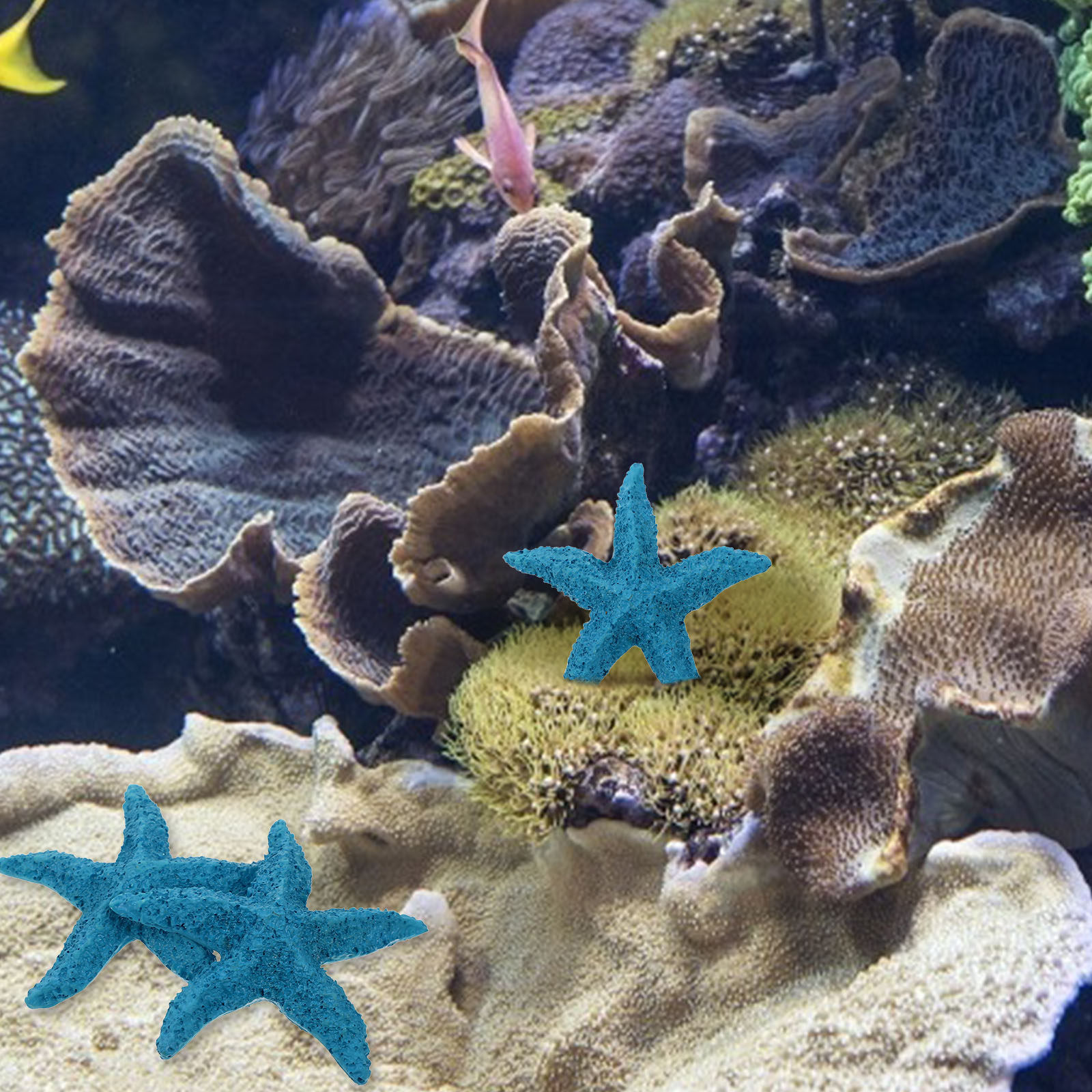 2 stuks levensechte zeester or - Marine Aquarium Home recensie en prijs