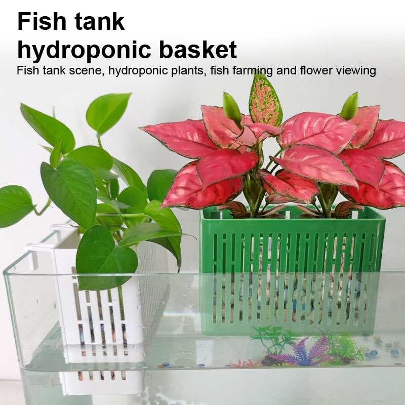 【F】Hangende plantenbak voor aq - Aquarium Marine Plants recensie en prijs